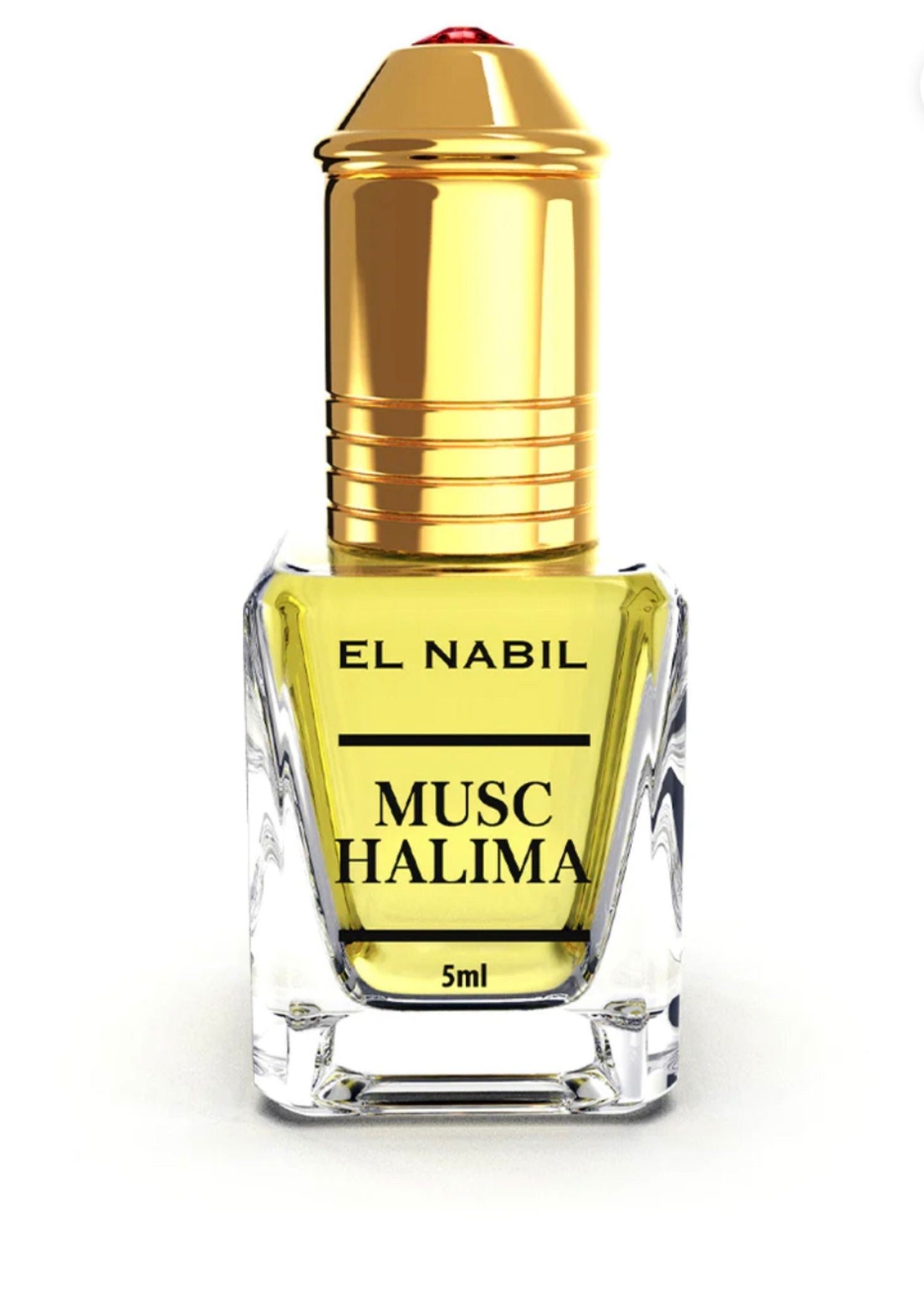 MUSC EL NABIL